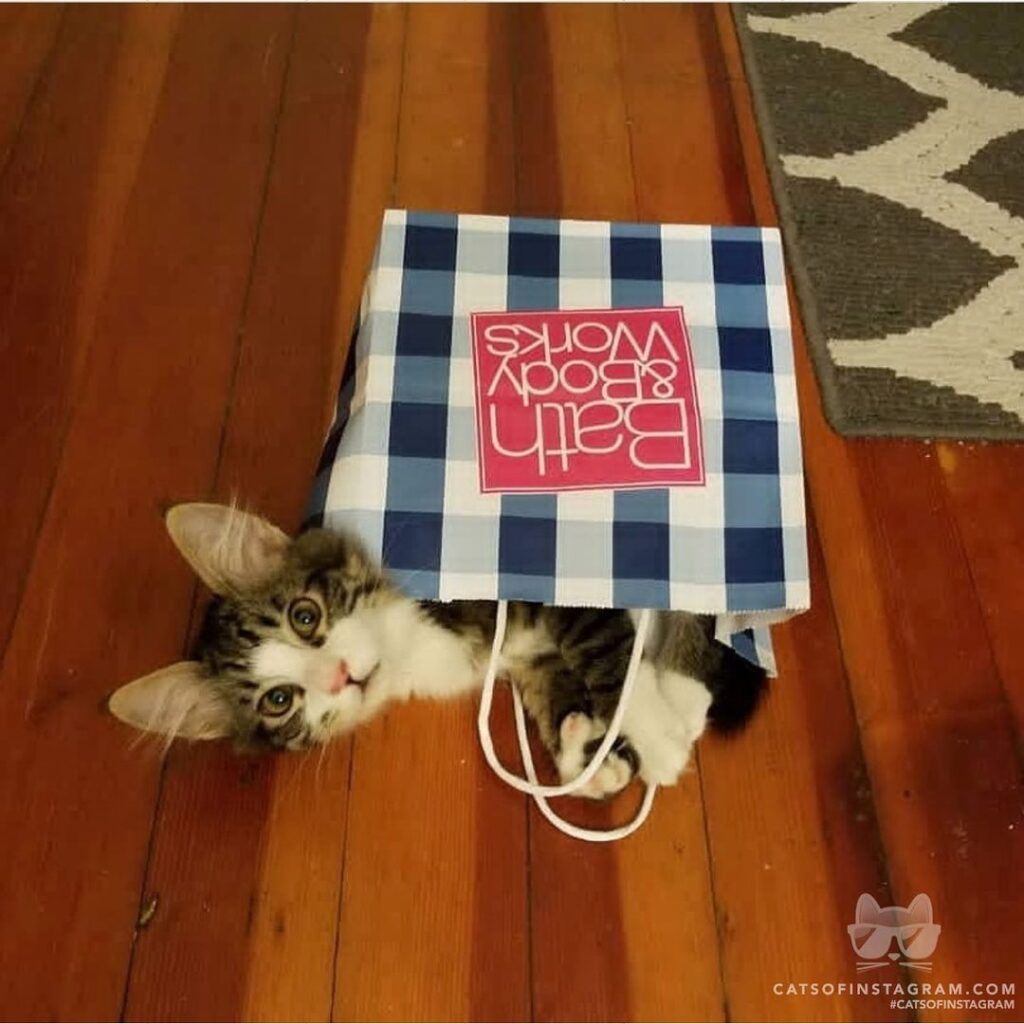 They said he was half off