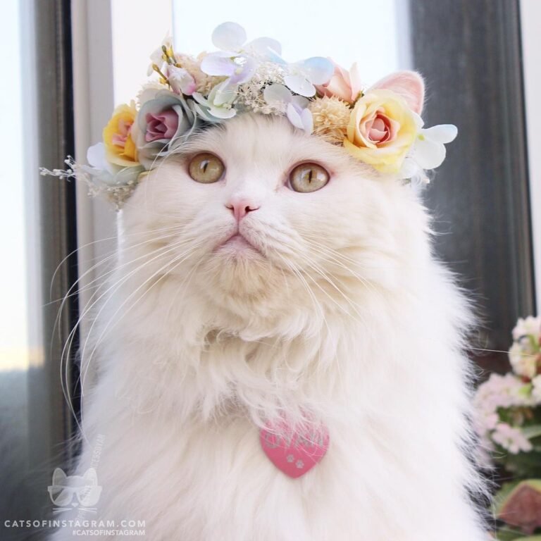 Flower crown for a princess