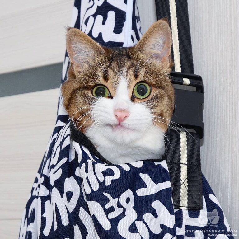 Don’t let the cat out of the bag. If you know what I mean