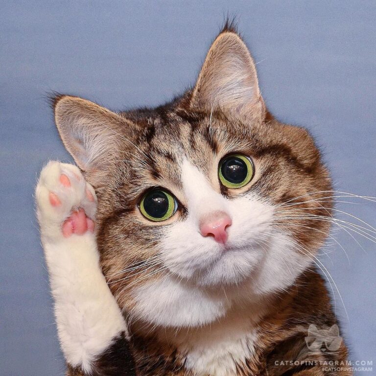 Hello? Who’s calling?