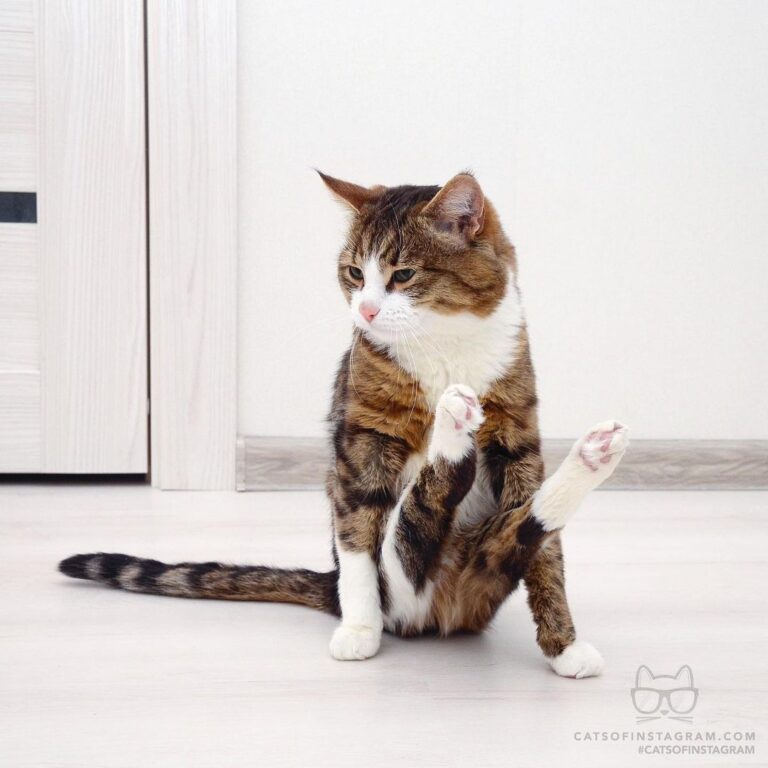 It’s yoga time