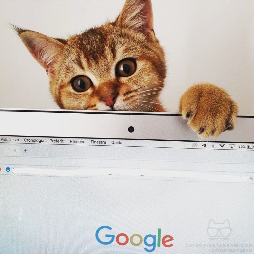 Looking for something?