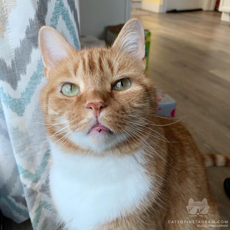 “The blank stare you give when someone talks to you befor