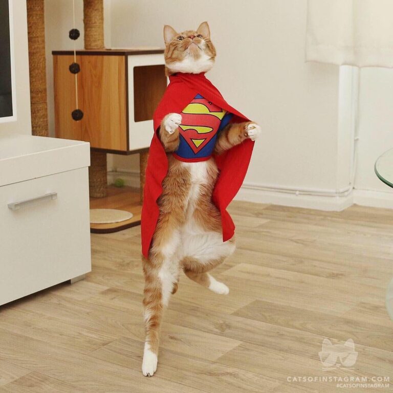 Tag someone who needs saving