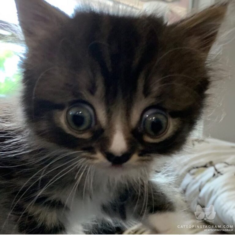 When you gimme those SHELDON eyes