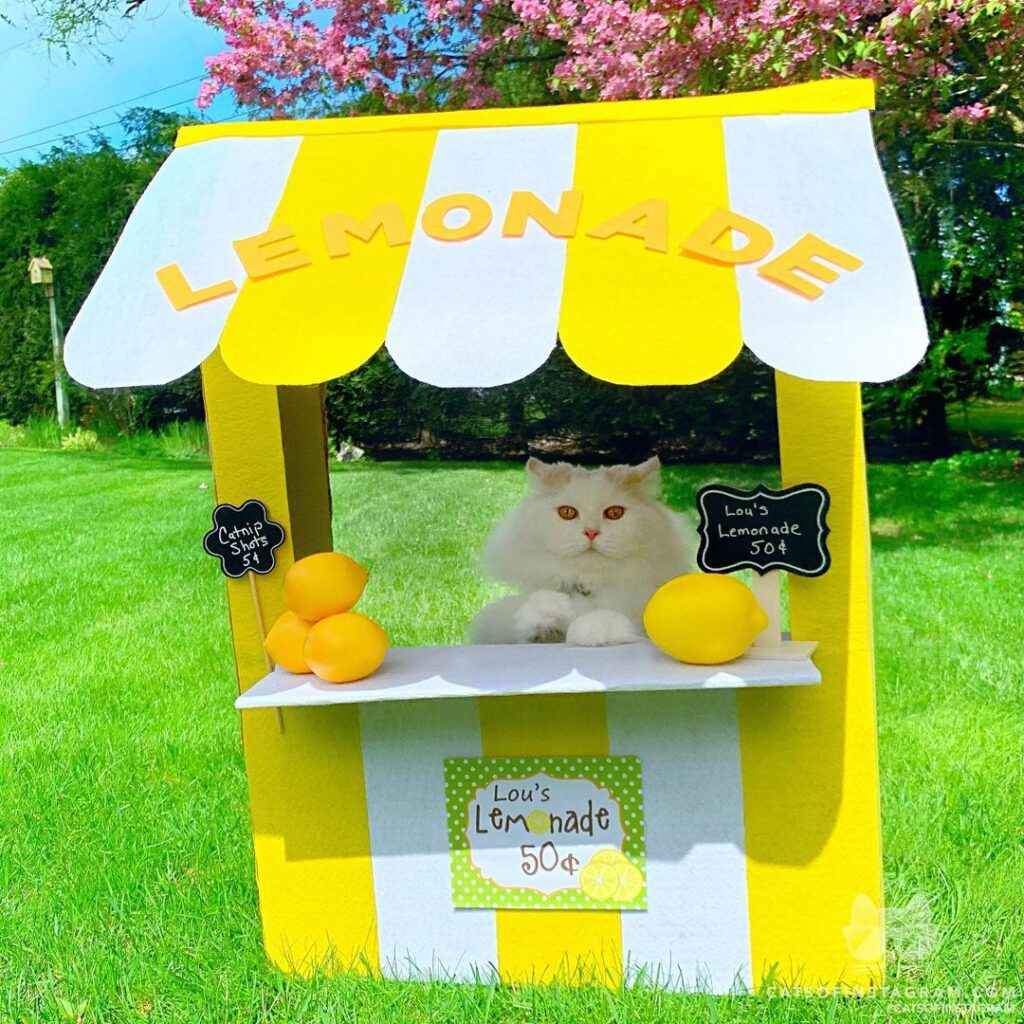When your summer job starts early.