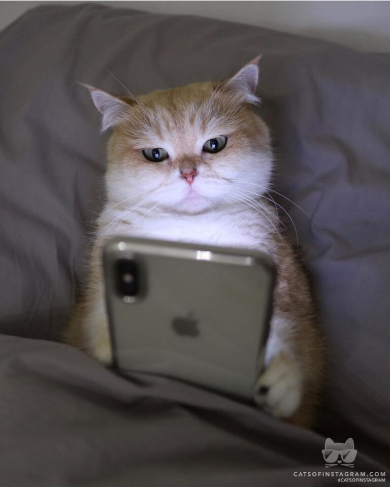 Checking my Instagram