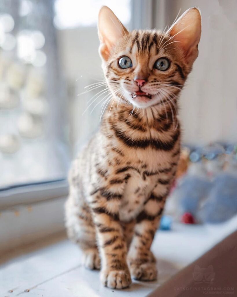 Smile!