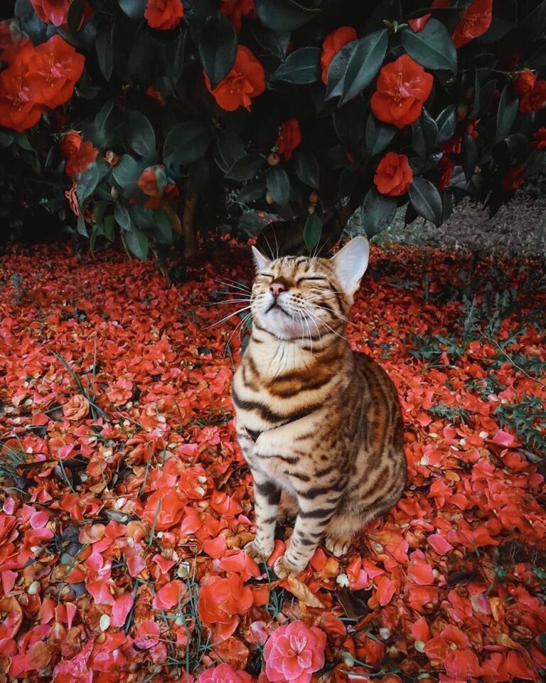“You belong among the wildflowers. Which of these photos is you