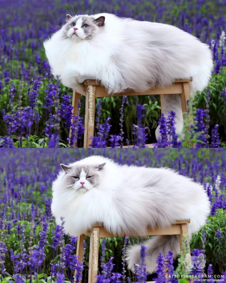 Sunshine: The difference between Sunday & Monday mood