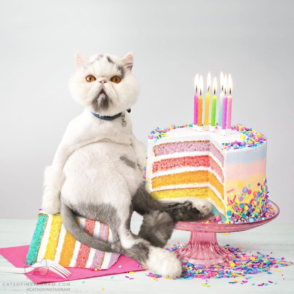 “Booba about to dig into the yummy cake to celebrate his 4th