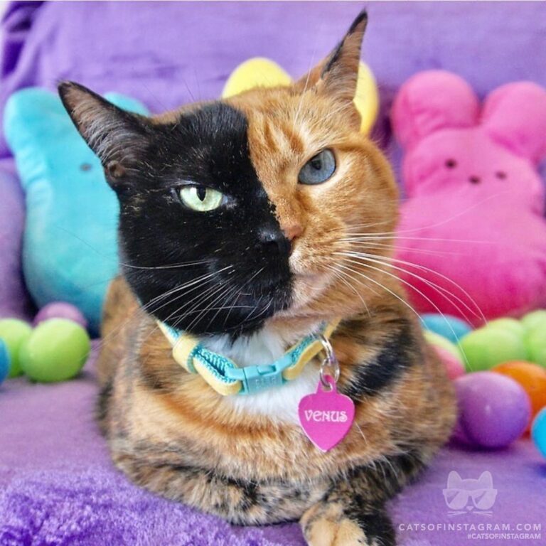 Just hangin’ with my peeps!