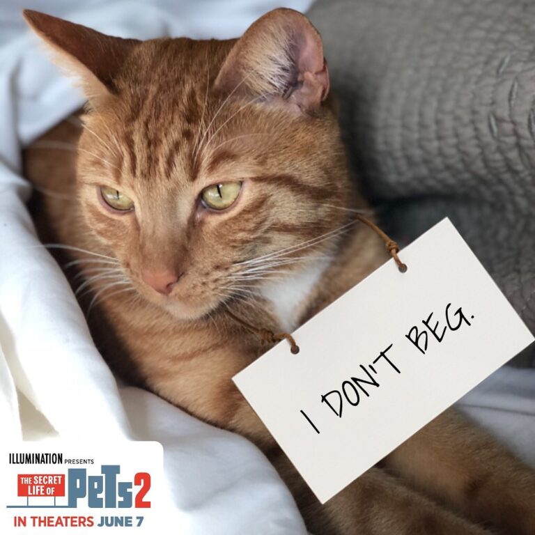 Garth is sharing his feels. Does your cat have something to say? Go