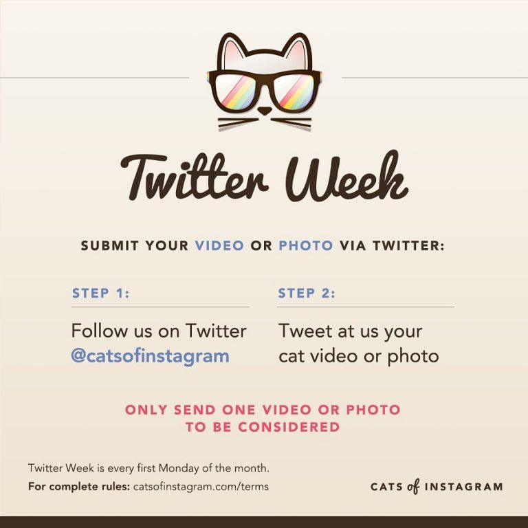Welcome to the June edition of #TwitterWeek ! Either a photo OR video submission...