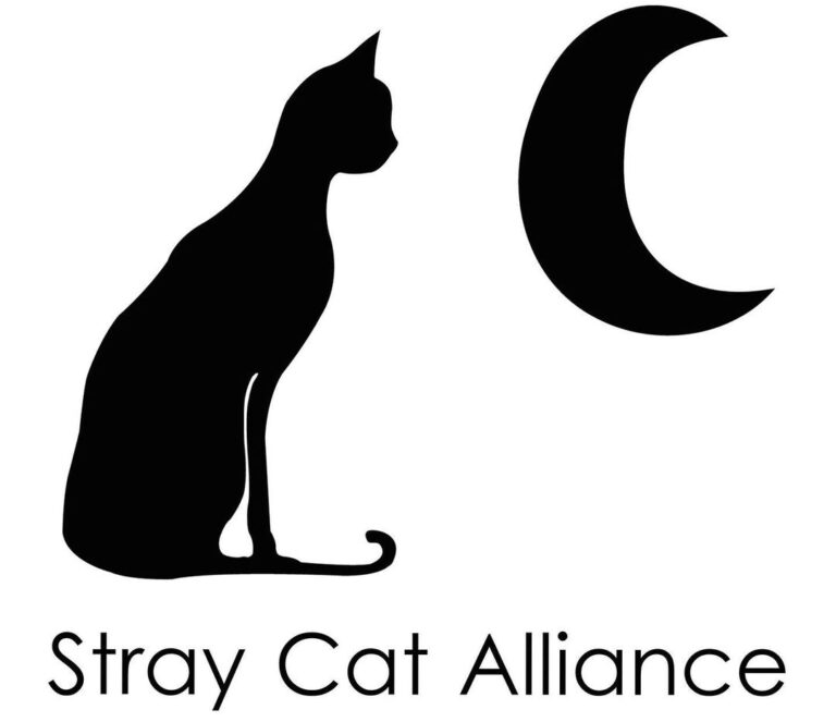 We’re extremely excited to be working with @straycatalliance again