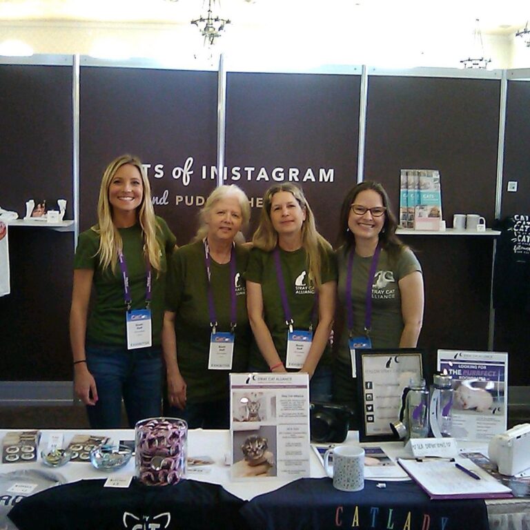 We’ve partnered with @straycatalliance for CatCon! Give them a follow