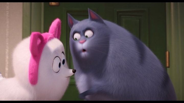 Being a cat is hard work. Chloe teaches Gidget in the new trailer for