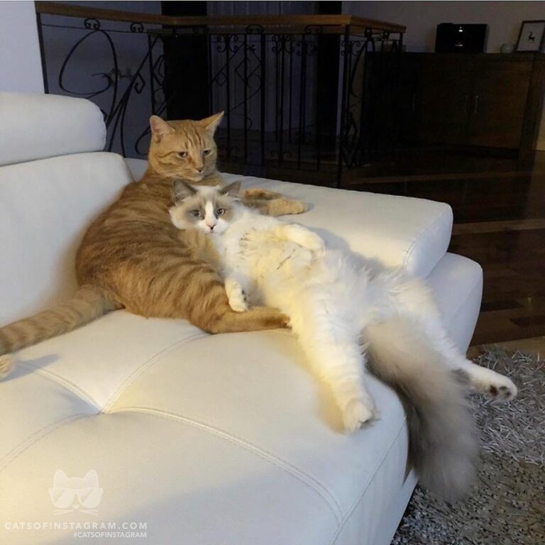 Hanging out with my BFF