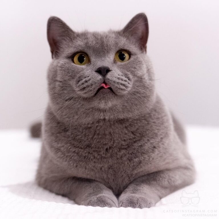 “When you hear that magic word and can’t hide your excite