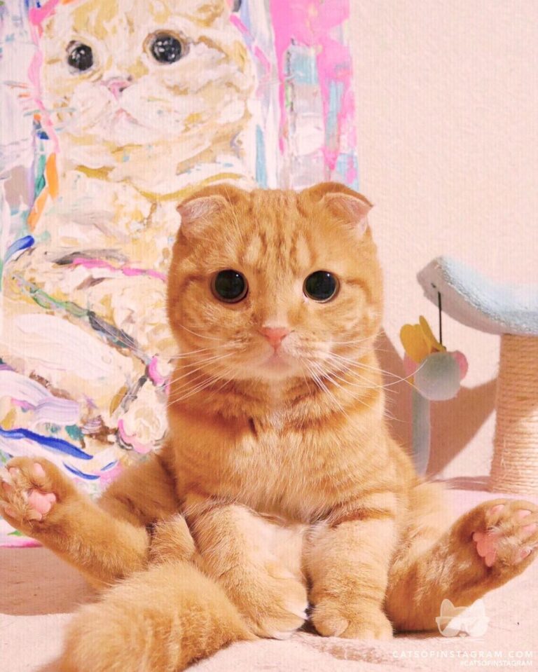 Same pose!
