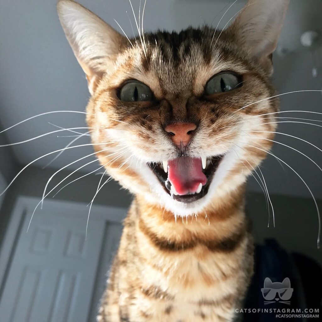 Hi mom! I’m ready for breakfast!