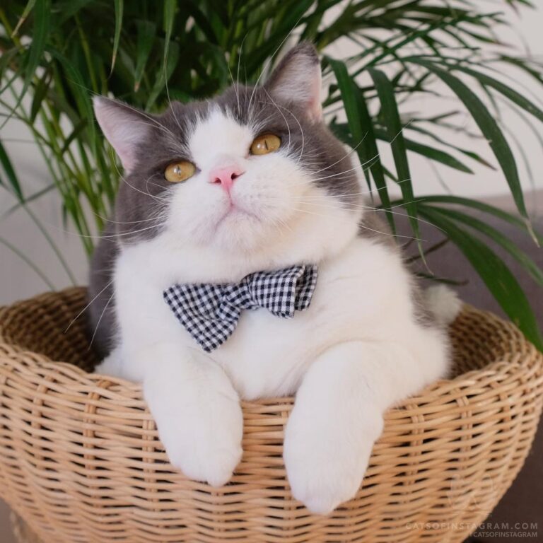 Just showing off my fluff.