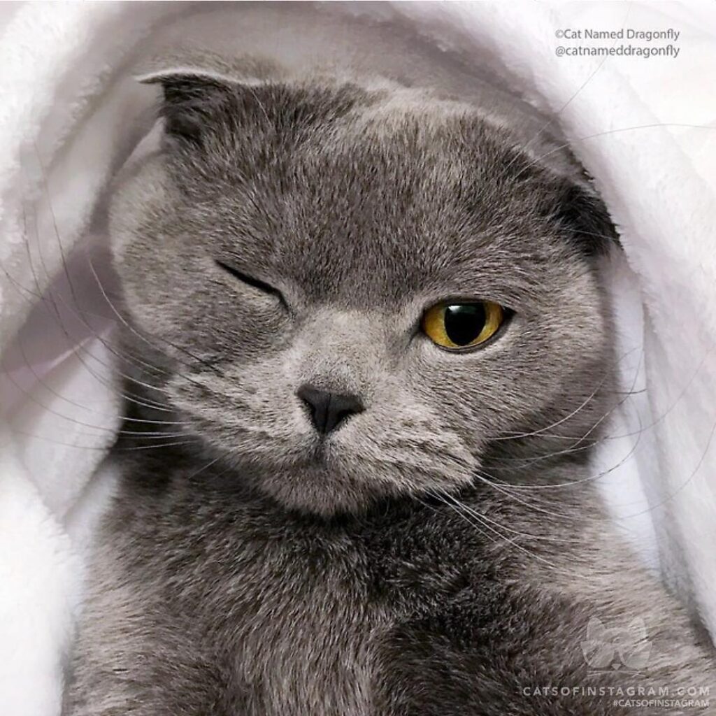 Wink, wink…