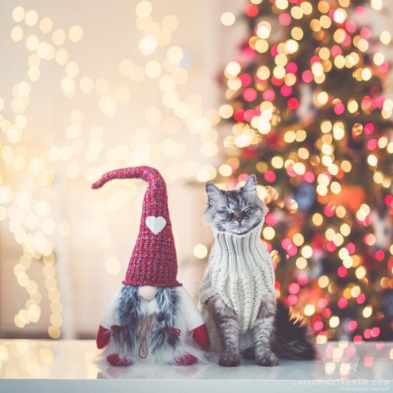 “When you’re rocking your holiday sweater… (: @hollysisson