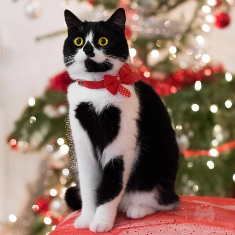 Monday’s got nothing on the Christmas Queen of Hearts.