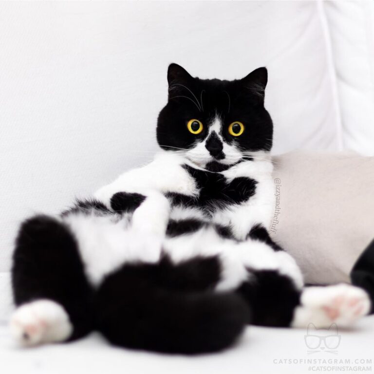 Sexy and I know it.