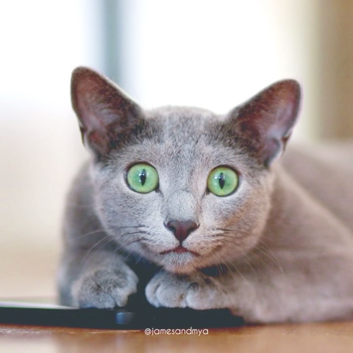 “When you think you are about to take a short nap, but wake