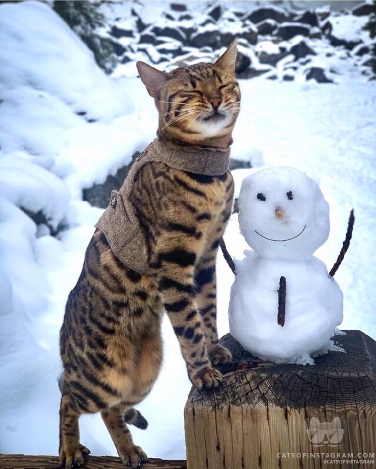 Hanging out with my favorite snowman