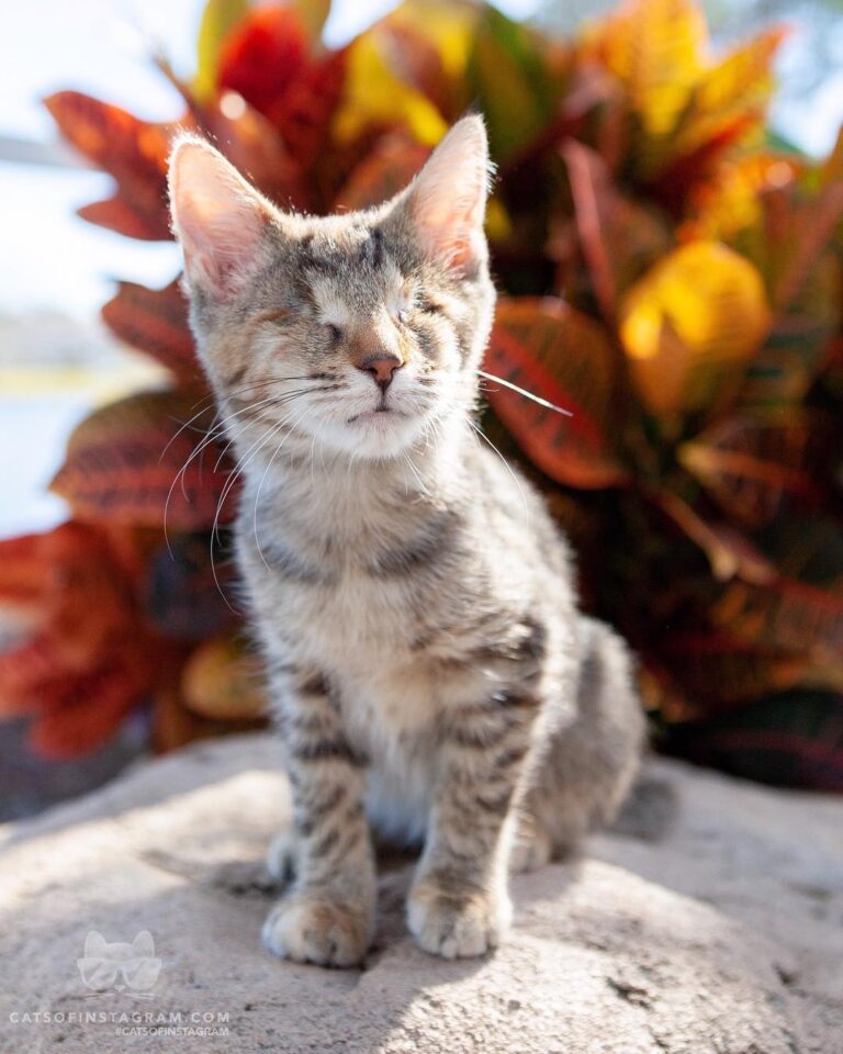 “”I may not be able to see but I can still enjoy the beauti