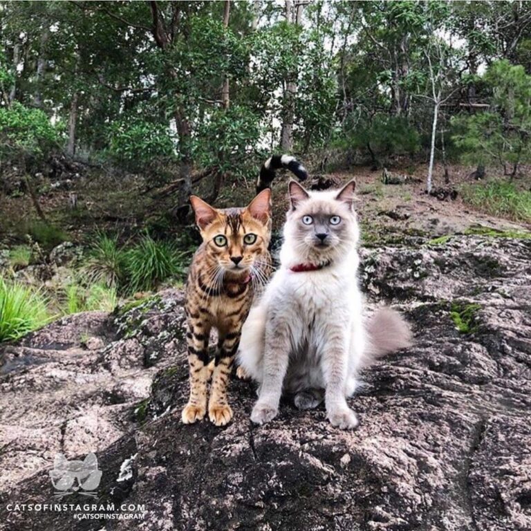 “Hurry up mum, this family photos cramping our lizar