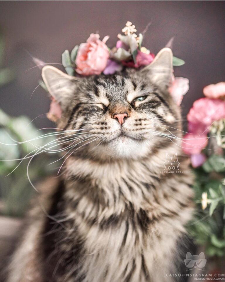 Hey there, good lookin’