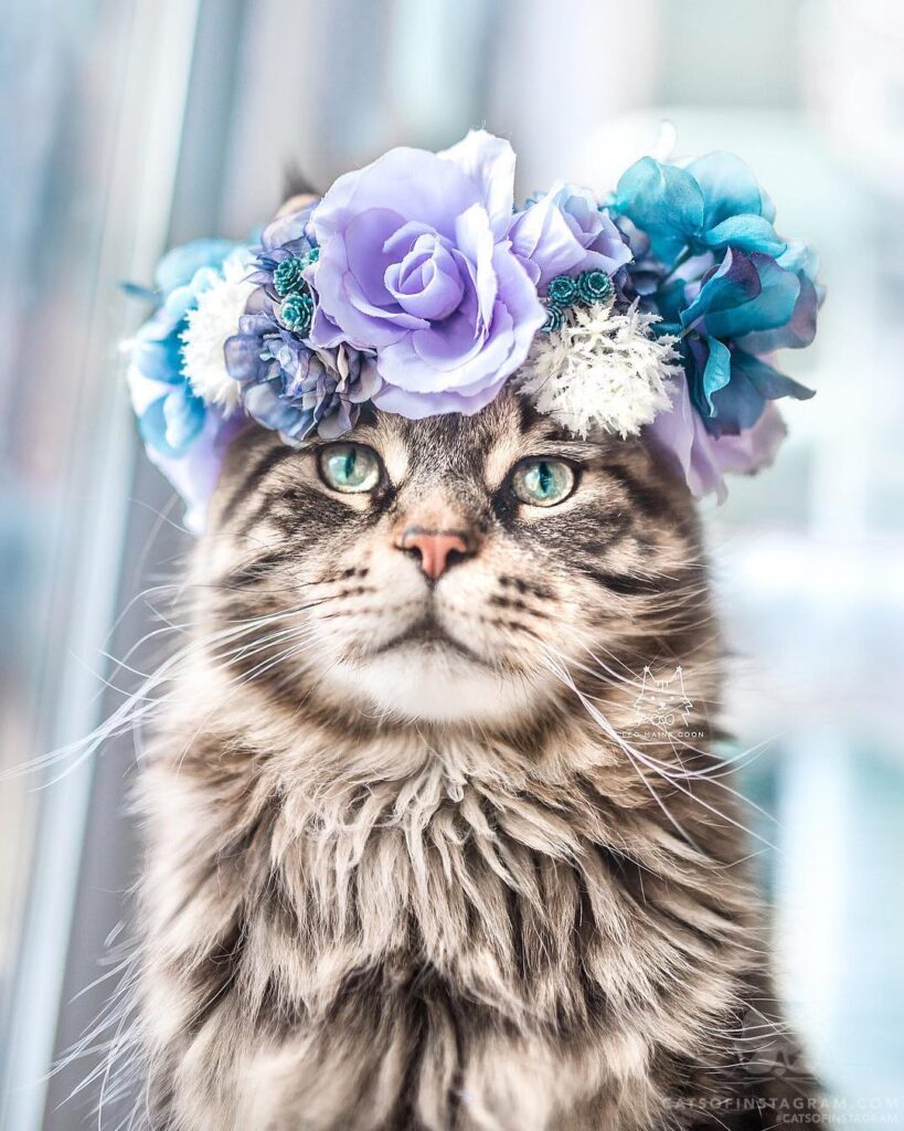 I woke up like this.