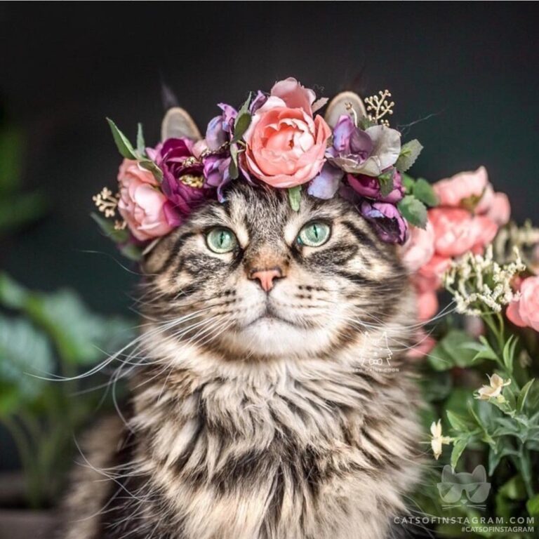 Ready for spring