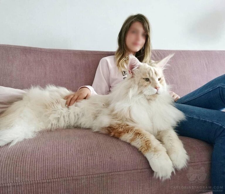 Morning in the sofa