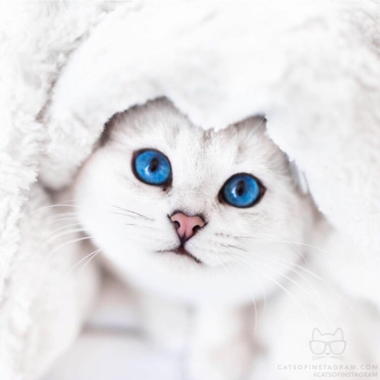 I heard a scary noise outside.. Can I sleep in your bed?!