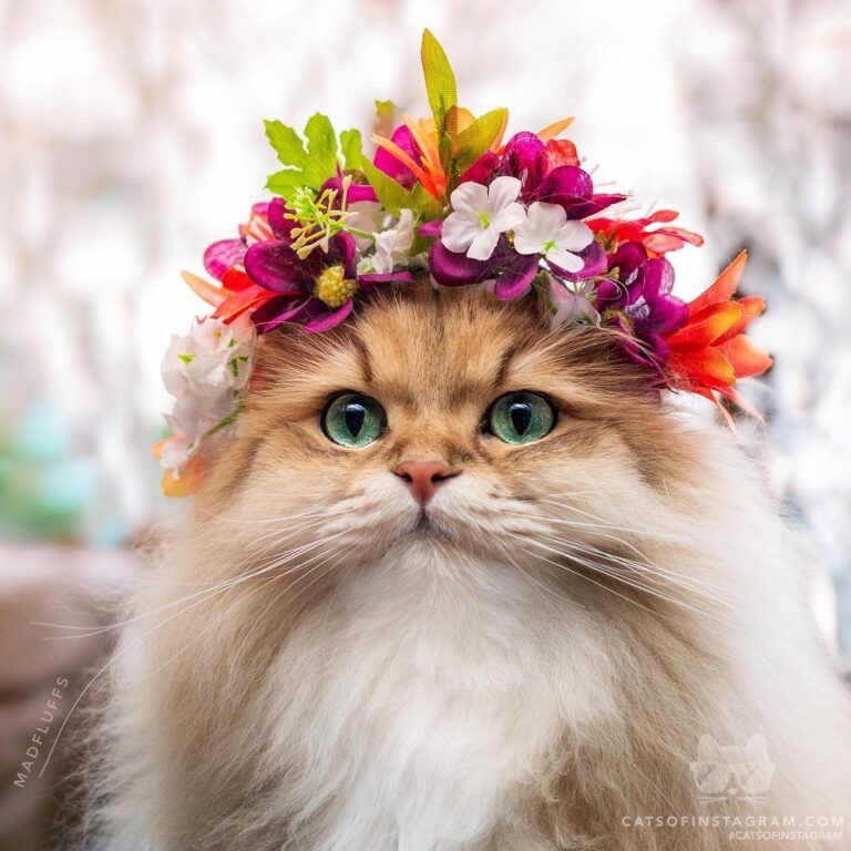 I’m ready for spring! Any day now… Plz?