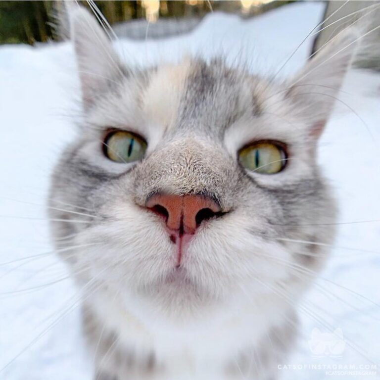 Hi there
