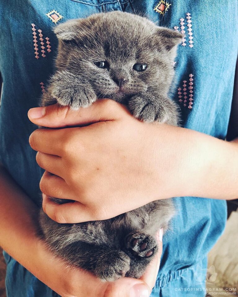 Heaven is being in the arms of someone who loves you