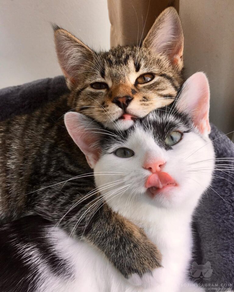 “Look at us! Exactly 1 week ago we meet each other. At first