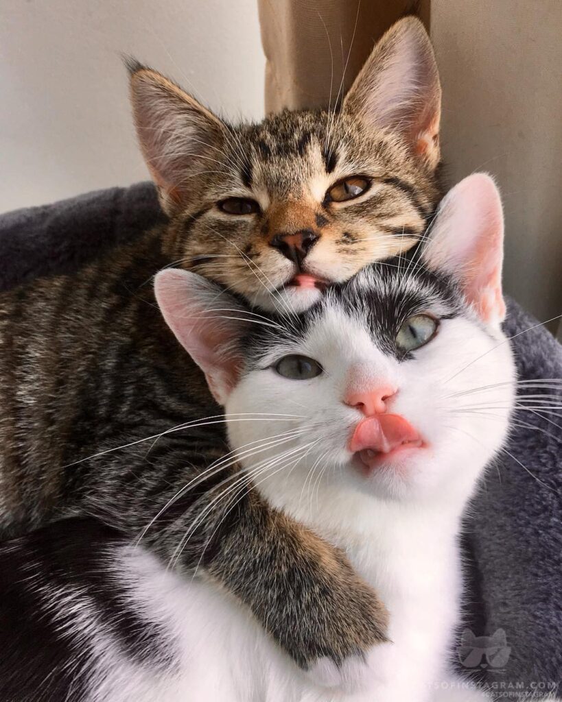 “Look at us! Exactly 1 week ago we meet each other. At first