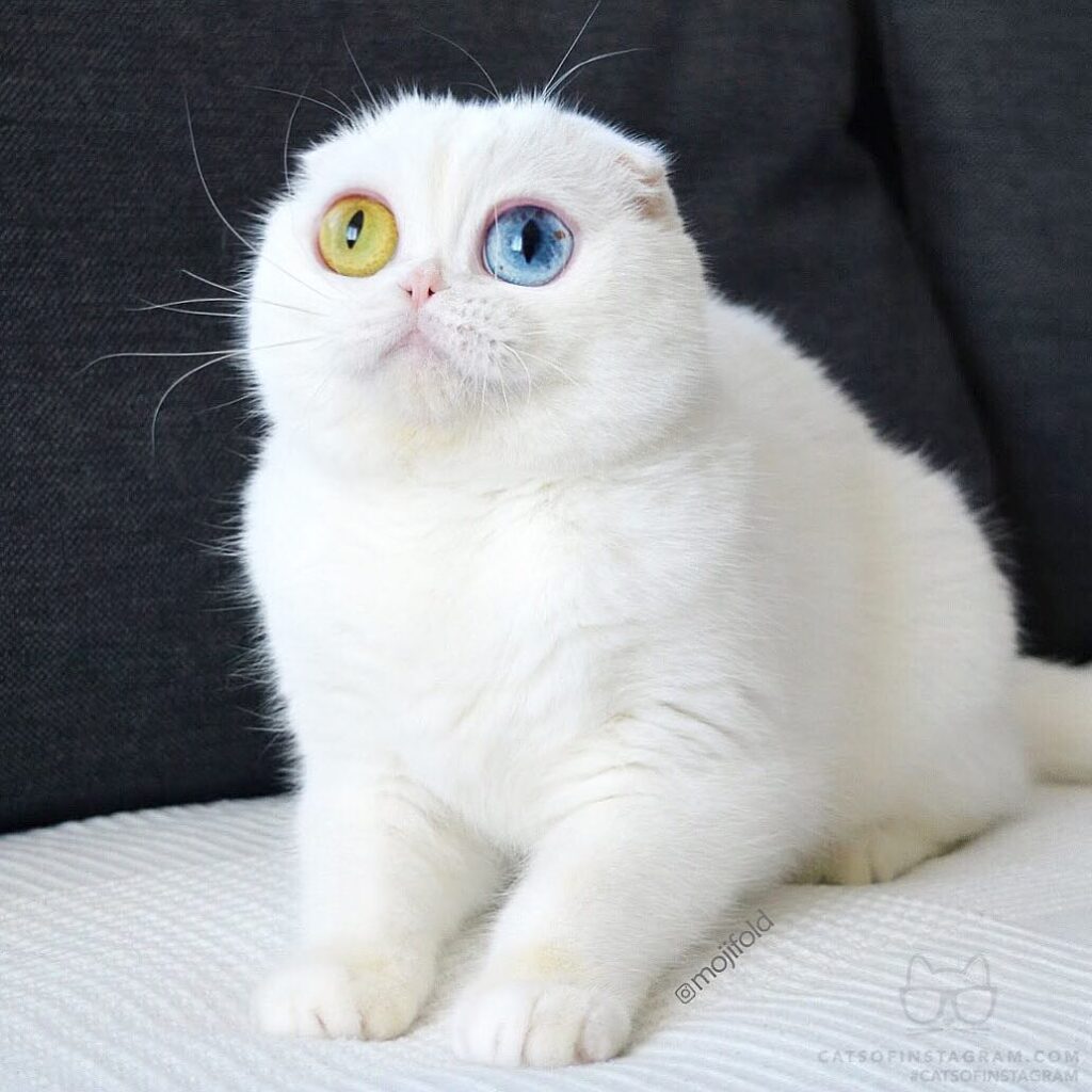 When you see your monthly statement