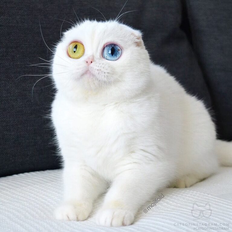 When you see your monthly statement