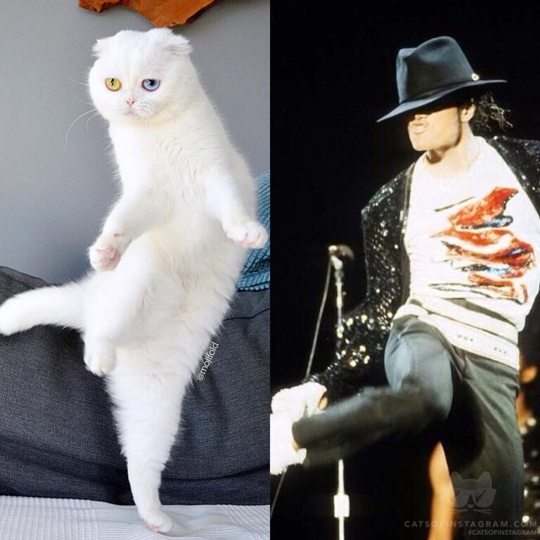 Who did it better?