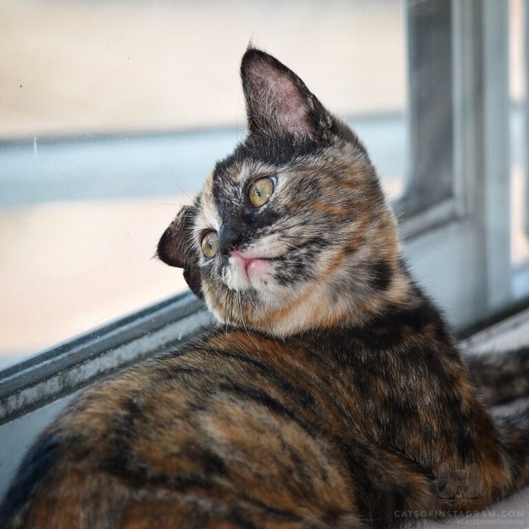 Come back, birdies. I just wanted to play.