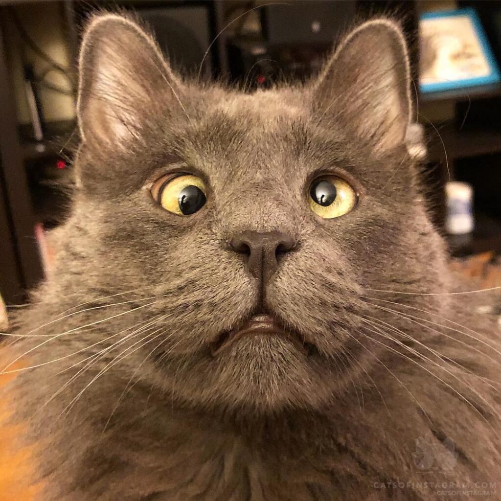 “When you realize it’s Thursday street cleaning day and yo