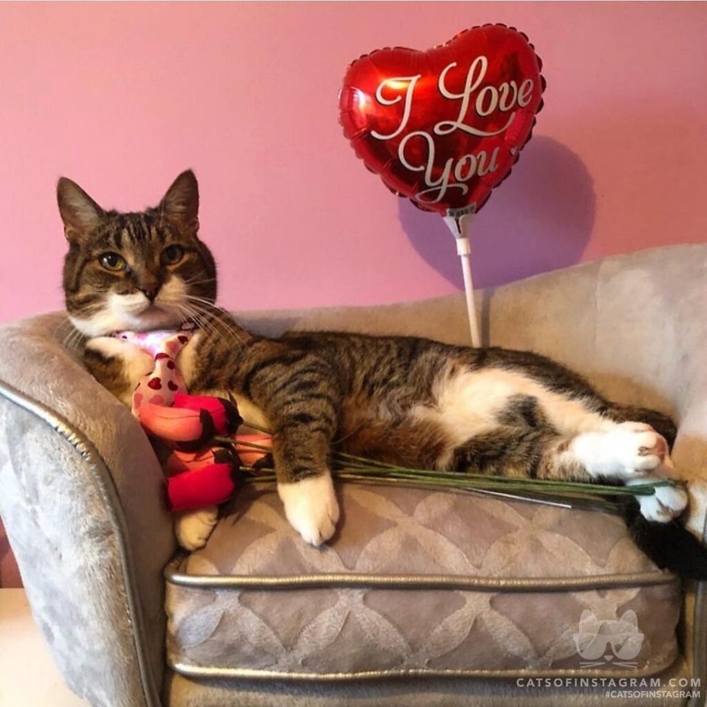 Happy Valentine’s Day